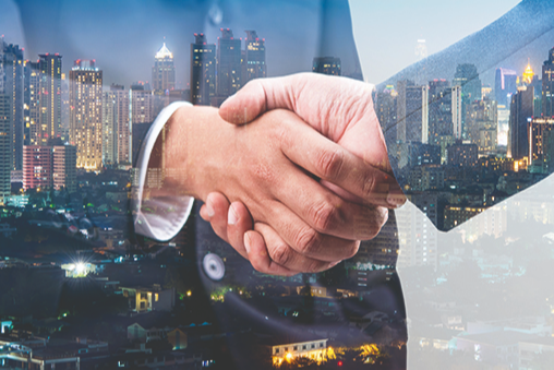 Real Estate Consultancy
