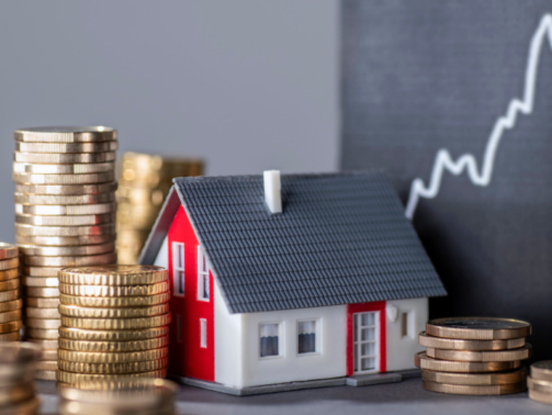 Home 59 Property Consultancy