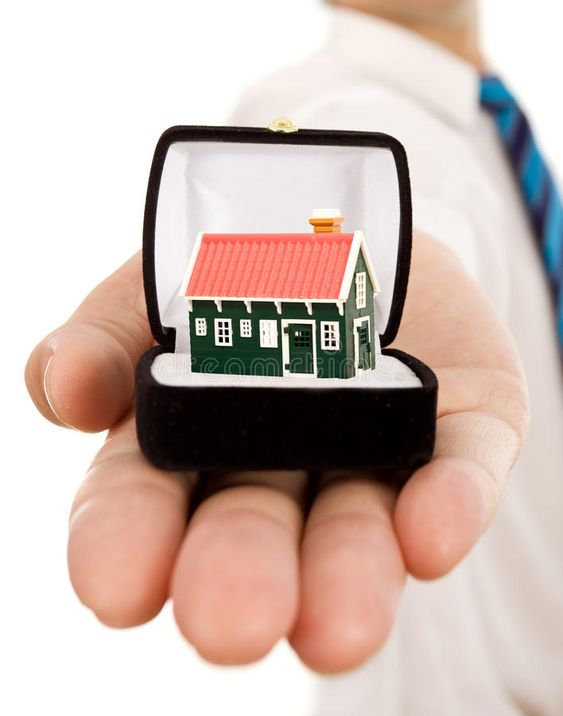 Property Consultant