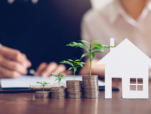 Home 56 property consulting