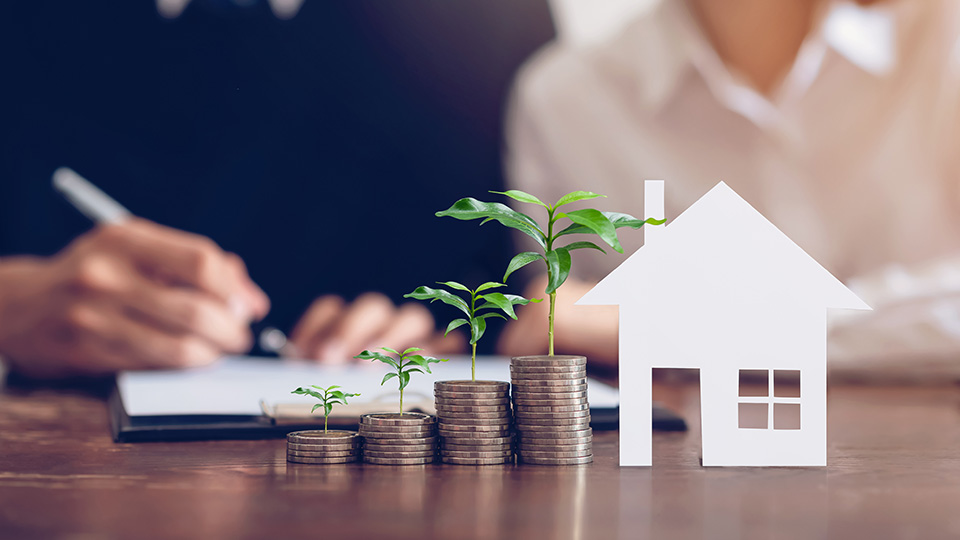 property consulting