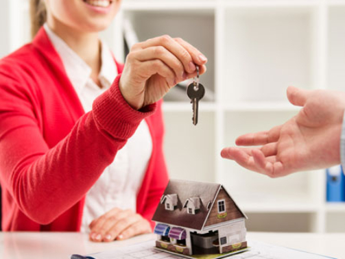 Home 49 property consulting